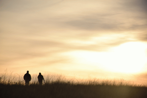 Overlooking the Forgotten